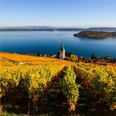 王者电玩城18066