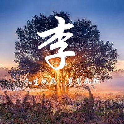 特朗普称伊朗冲突引发的油价与股市反应未达预期严重程度