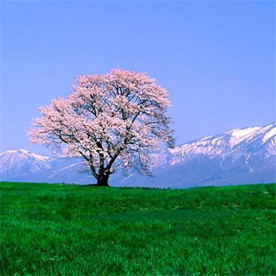 星空体育娱乐