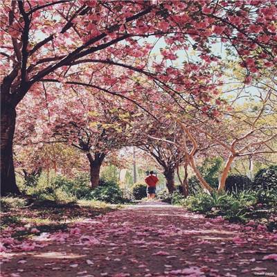 双赢棋牌官网（官方）综合娱乐APP下载