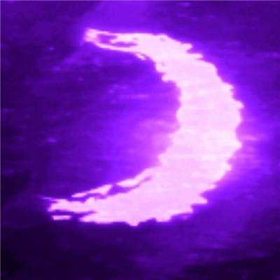 星空体育官方网站入口