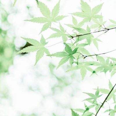 中国卡车之星