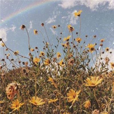 伊朗倡议中东建立无美以联盟