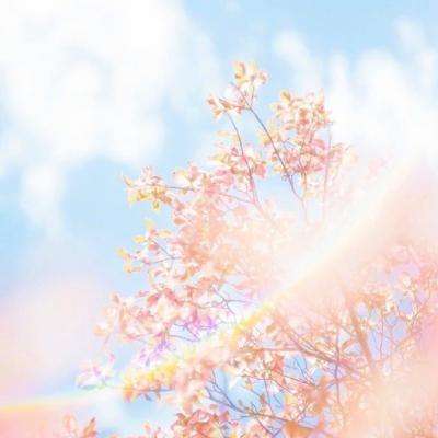 《家事法庭》央视首播 网友热议