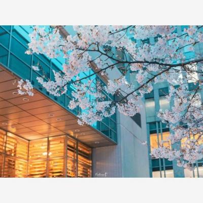 中国建设银行与伦敦金融城共同举办中英资本市场互联互通圆桌会