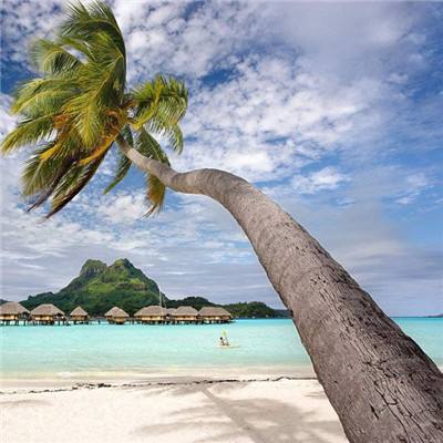 预测市场被视为塑造危机信号