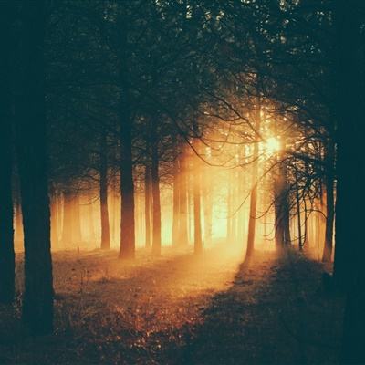 王毅：出现了一线和平的曙光