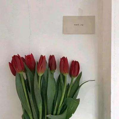 乐鱼体育直播下载