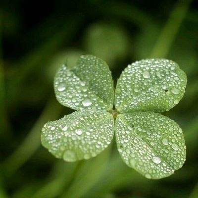 球球冲击红包版