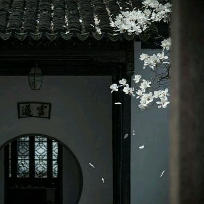 神彩网