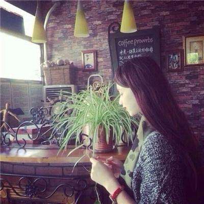 彩神vip官网截图2