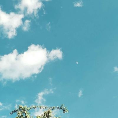 美股AI应用软件股集体上扬 Braze涨超20%