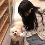 无敌OL